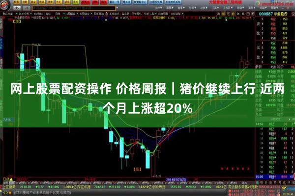 网上股票配资操作 价格周报｜猪价继续上行 近两个月上涨超20%