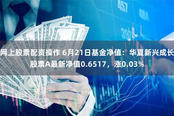 网上股票配资操作 6月21日基金净值：华夏新兴成长股票A最新净值0.6517，涨0.03%