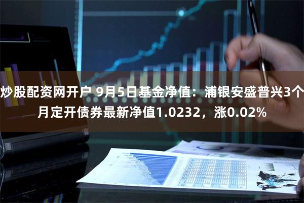 炒股配资网开户 9月5日基金净值：浦银安盛普兴3个月定开债券最新净值1.0232，涨0.02%