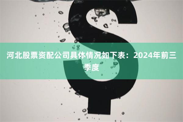 河北股票资配公司具体情况如下表：2024年前三季度